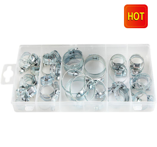 40pc Hose Clamp Assortment