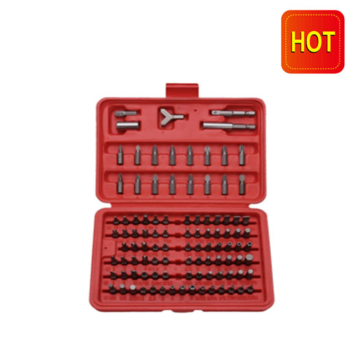 100pc Security Screwdriver Bit Set