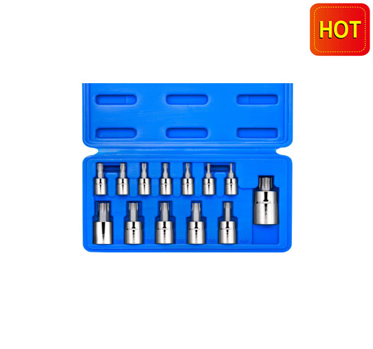 13PC Hex Bit Socket Set (S.A.E)