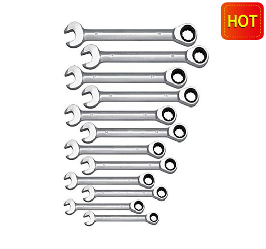 12 Piece Metric Combination Ratchet Spanner Set 8-19mm