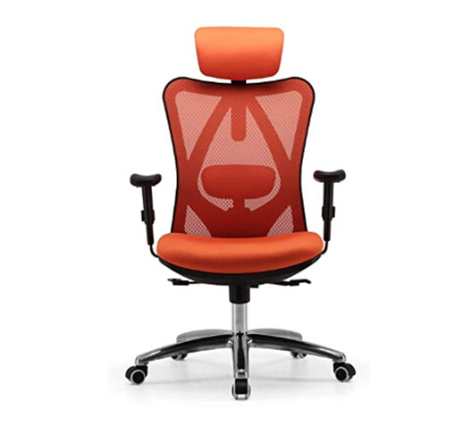 Ergonomics Office Chair