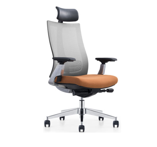 Mesh Ergonomic  Office Chair(Movable)