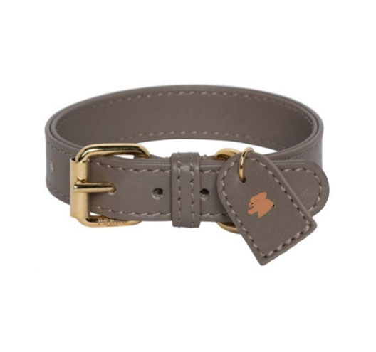 Dog Collar