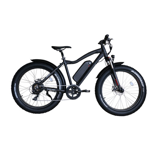 1000W 48V 16A Electric Bicycle
