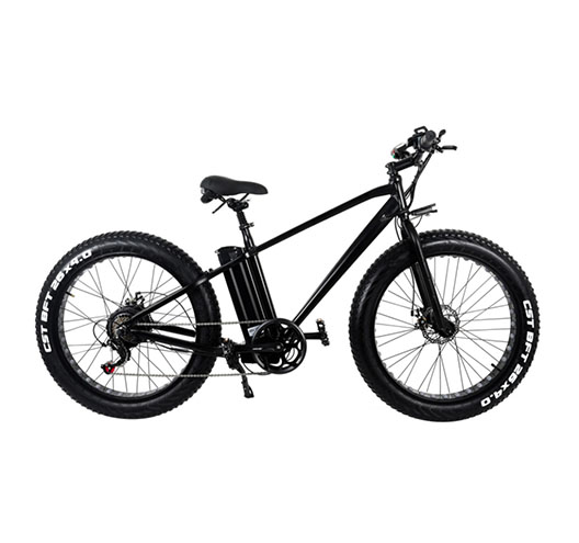1000W 48V 16A Electric Bicycle